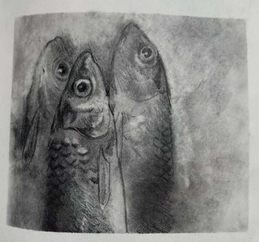 Artwork by Emily Mietus - charcoal drawing of fish